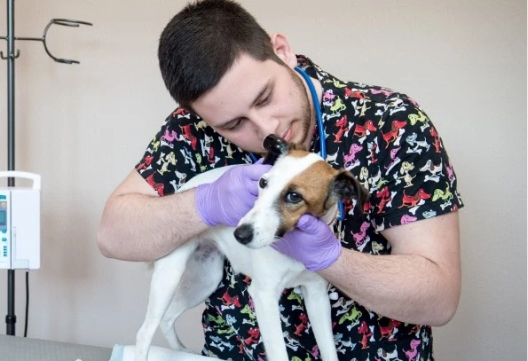 Акція «Комплексна діагностика»