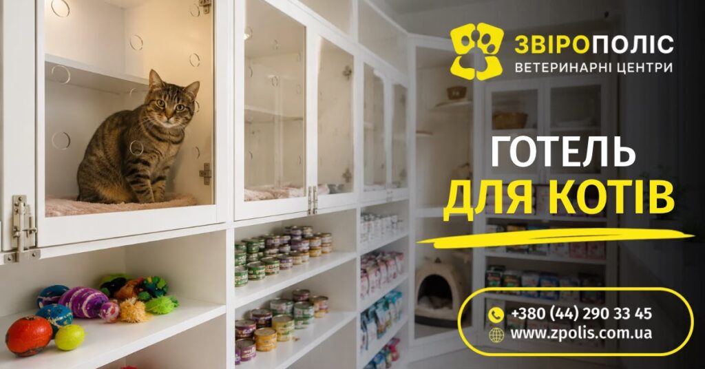 Готель для котів у ветеринарному центрі Звірополіс