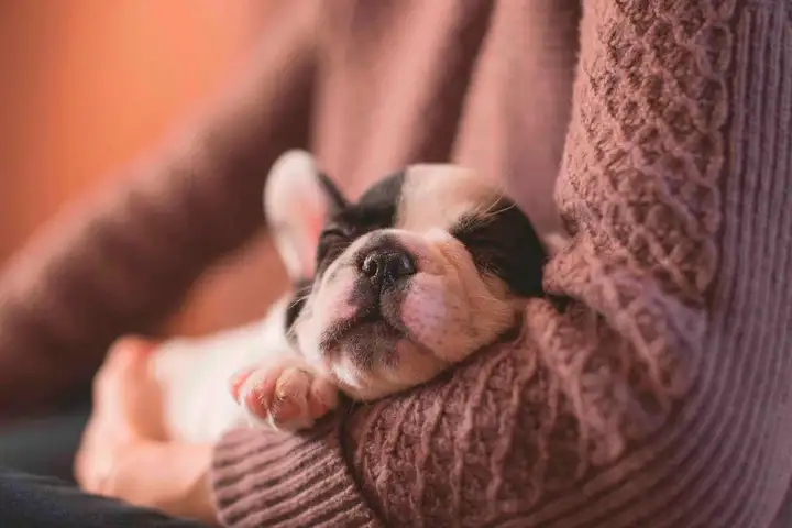 Строим компанию с человеческим лицом