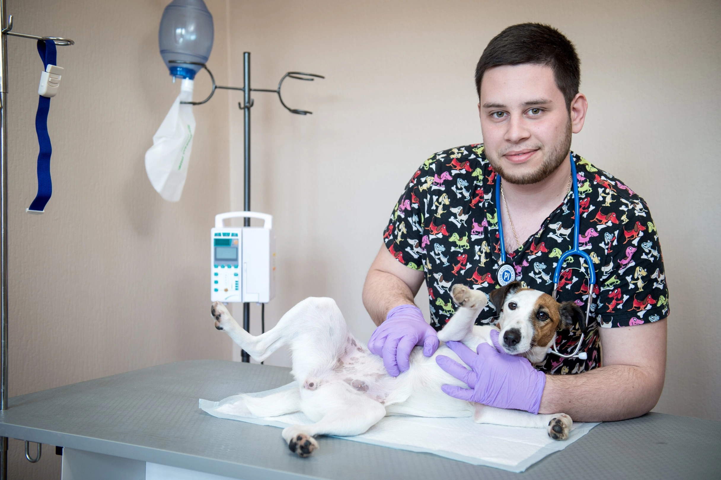 УЗИ диагностика животных в Киеве: эхо сердца, УЗИ брюшной полости, а также обследование при беременности кошек и собак