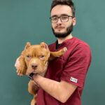 Барабаш Дмитрий Владимирович
