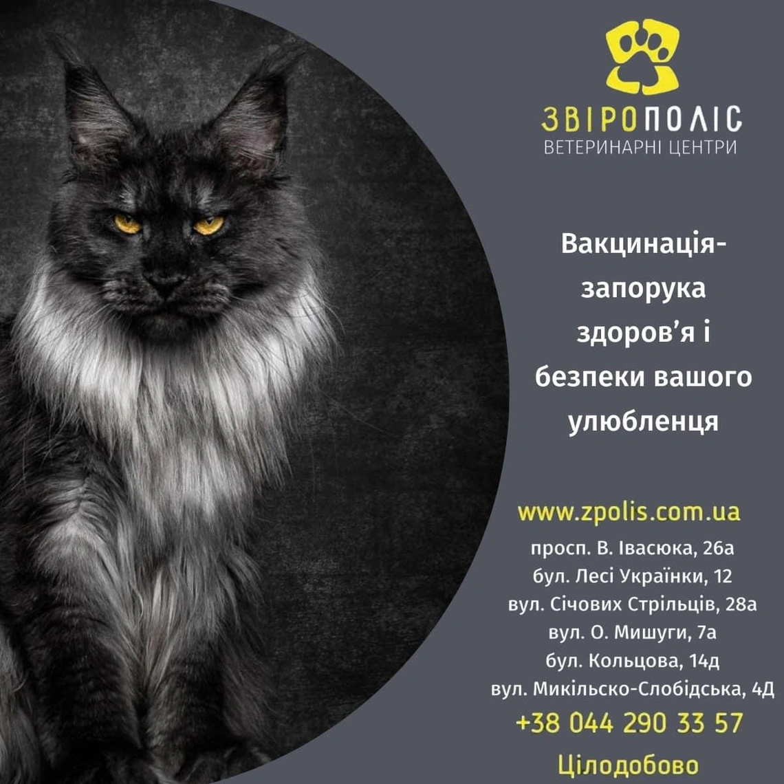 Важливість щорічної вакцинації