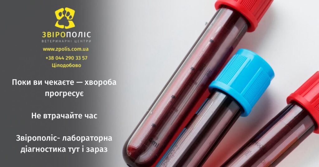 Лабораторна діагностика тварин у Звірополіс
