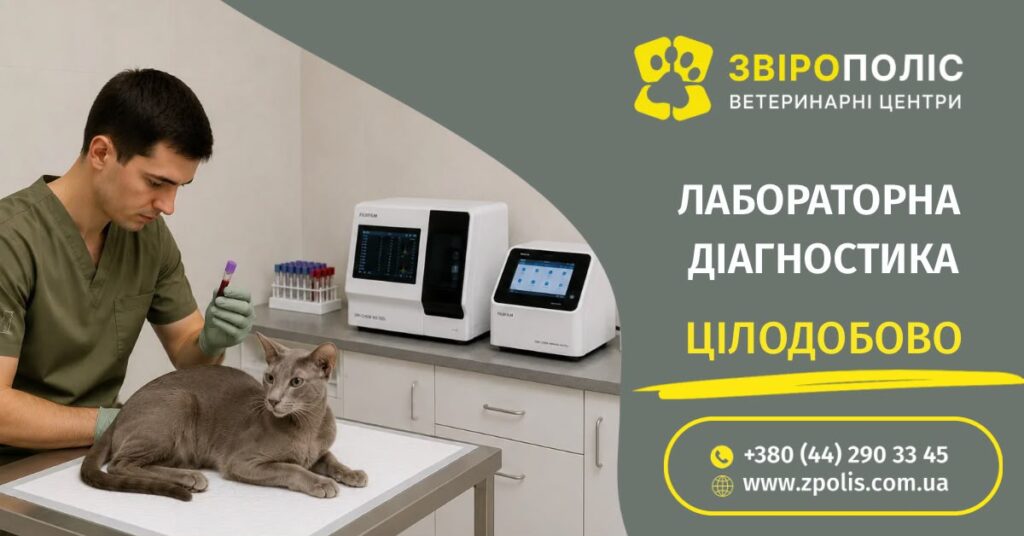 Лабораторна діагностика крові тварин у клініці Звірополіс