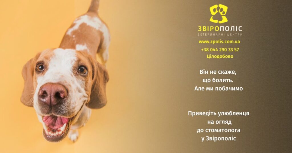 Ветеринарна стоматологія для собак у центрі Звірополіс