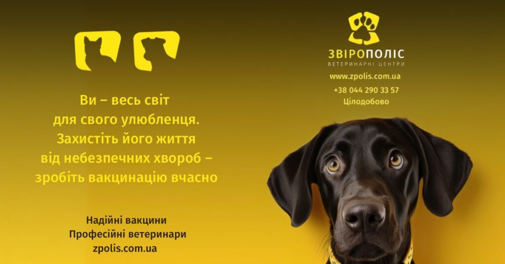 Вакцинація собак у ветеринарному центрі Звірополіс